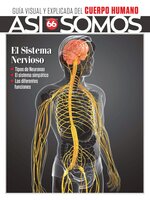 Así Somos - El cuerpo humano